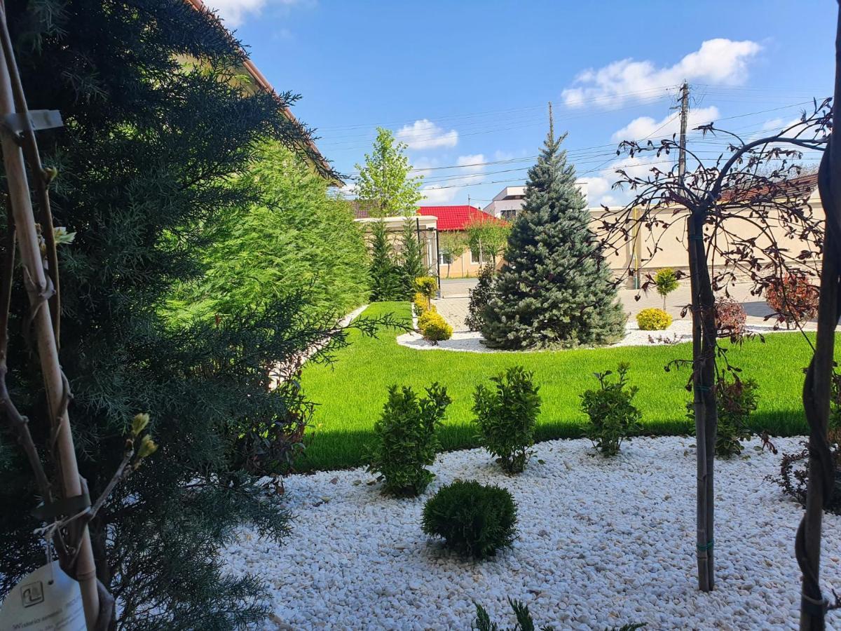 Pensiunea Mystique Arad Exterior foto